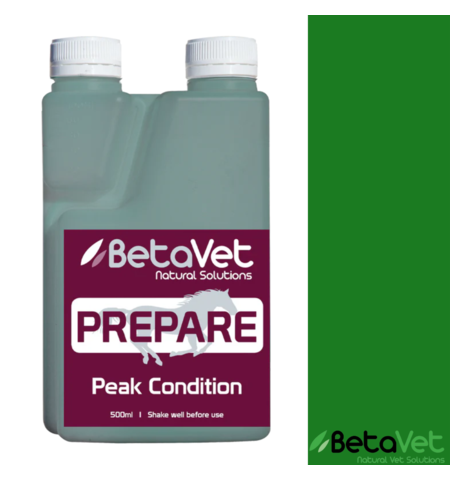 Beta Vet Prepare