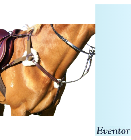 EVENTOR 5 POINT BREASTPLATE