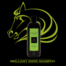 JUDGES CHOICE SHINE SHAMPOO