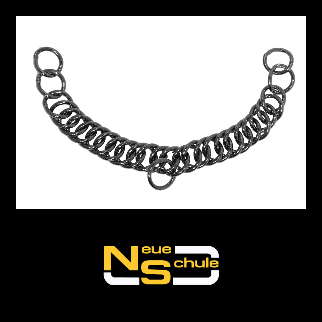 Ns Double Link Curb Chain Ss Neue Schule Bits And Accessories Neue