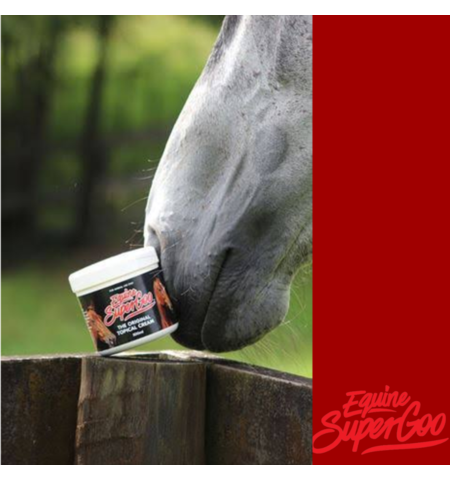 EQUINE SUPER GOO 500ml