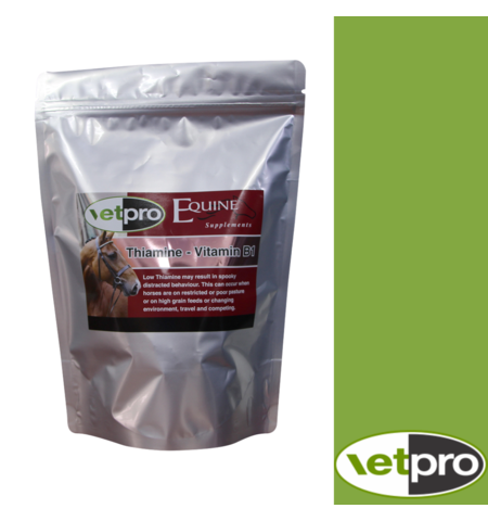 VETPRO EQUINE THIAMINE B1