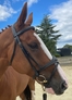 EVENTOR CROWN SNAFFLE BRIDLE