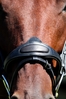 EVENTOR CROWN SNAFFLE BRIDLE