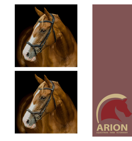 PLATINUM PRESSURE RELIEF ANATOMICAL BRIDLE