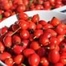 NATURALLY EQUINE ROSEHIPS