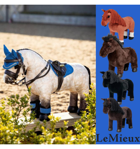 LE MIEUX TOY PONY