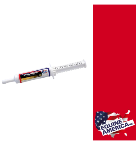 EQUINE AMERICA XTRA BOOST PASTE